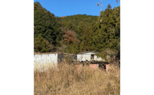 雑草が茂った土地